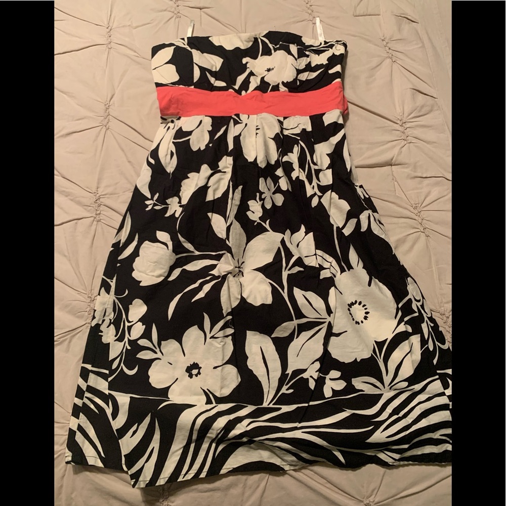 Charlotte Russe Dress